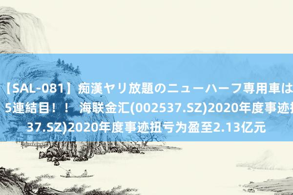 【SAL-081】痴漢ヤリ放題のニューハーフ専用車は本当にあるのか！？ 5連結目！！ 海联金汇(002537.SZ)2020年度事迹扭亏为盈至2.13亿元