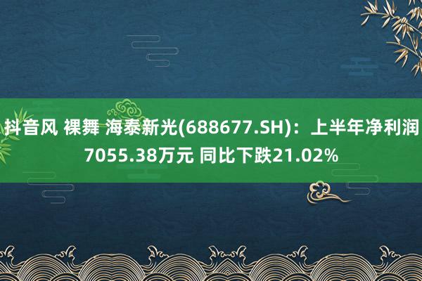 抖音风 裸舞 海泰新光(688677.SH)：上半年净利润7055.38万元 同比下跌21.02%