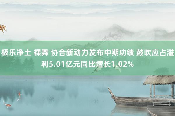 极乐净土 裸舞 协合新动力发布中期功绩 鼓吹应占溢利5.01亿元同比增长1.02%