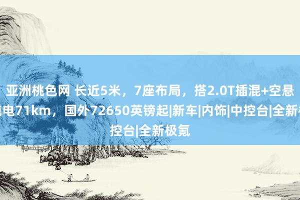 亚洲桃色网 长近5米，7座布局，搭2.0T插混+空悬，纯电71km，国外72650英镑起|新车|内饰|中控台|全新极氪