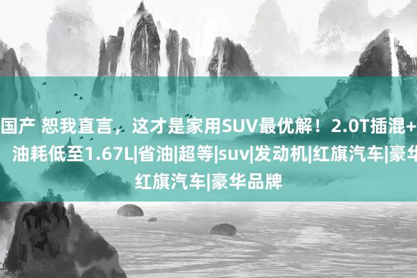 国产 恕我直言，这才是家用SUV最优解！2.0T插混+四驱，油耗低至1.67L|省油|超等|suv|发动机|红旗汽车|豪华品牌