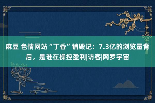 麻豆 色情网站“丁香”销毁记：7.3亿的浏览量背后，是谁在操控盈利|访客|网罗宇宙